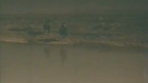 Решающий шаг (1965)