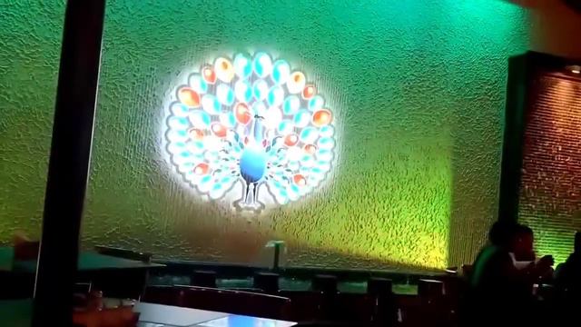 #Mayura Gardenia In Kadapa#by Me Rayalaseema Bidda#