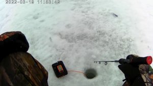 Сибирская рыбалка