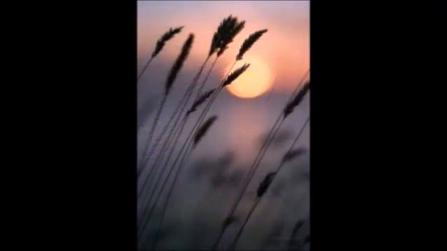 ПРИЙДИ ДО МЕНЕ СПОГАДОМ У СНІ! смотреть онлайн