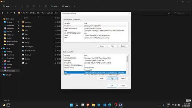 How to install dart on windows 10/11 2022 | Dart programming language installation | vscode смотреть онлайн
