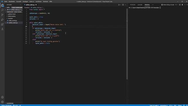 "Zahlen raten" - Zufallsgenerator mit Python смотреть онлайн