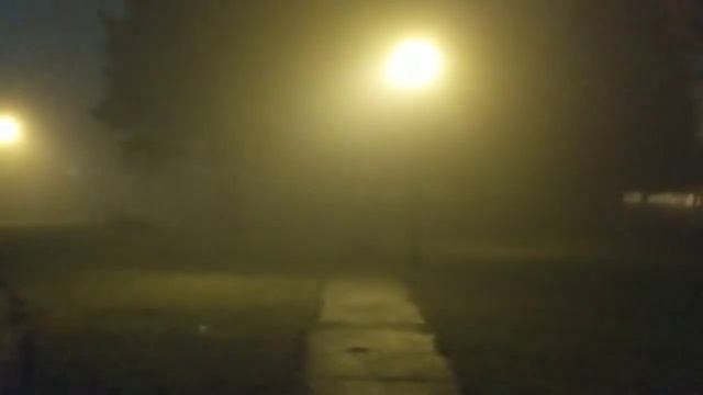 VLOG Foggy Night Vancouver BC Spooky Tree смотреть онлайн