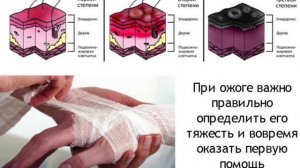 Надежная защита организма