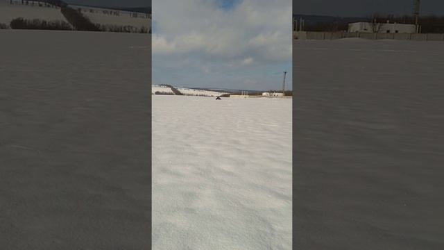 Brp ski Doo freestyle 300 смотреть онлайн
