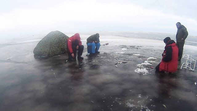 Peipsi Чудское озеро зимняя рыбалка д.Спицино крупная отборная плотва! смотреть онлайн