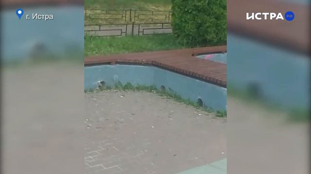 Istra Stories: Центр города смотреть онлайн