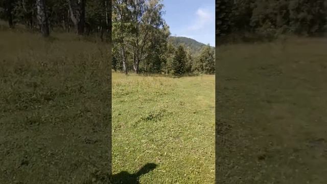 Перевал перед Имурлинский Водопад Чемал Анос смотреть онлайн