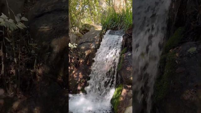 Воронцовский дворец парк 2023. Путешествие по Крыму. Воронцовский дворец в Крыму