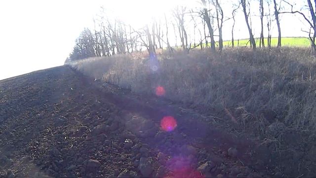 Охота на зайца тоз 34 охота в пахоте 2019-2020