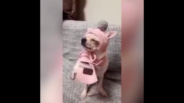 Хорошая озвучка?