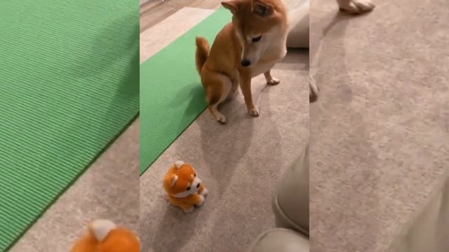 Говорящая игрушка повторюшка смотреть онлайн