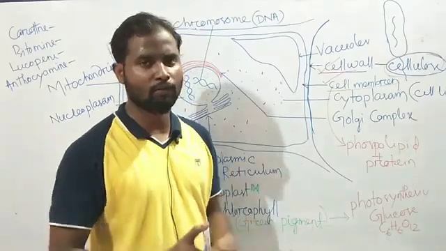 Biology class 1 CELL смотреть онлайн
