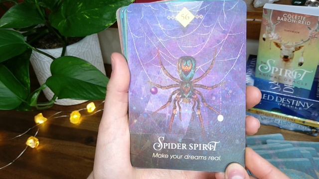 The Spirit Animal Oracle | Unboxing, Flip Through & Review смотреть онлайн