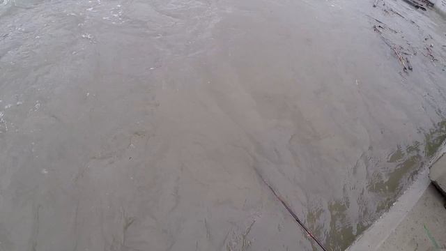 Ловля Крупной форели в горной реке на спиннинг. Bow River Trout Fishing | Alberta