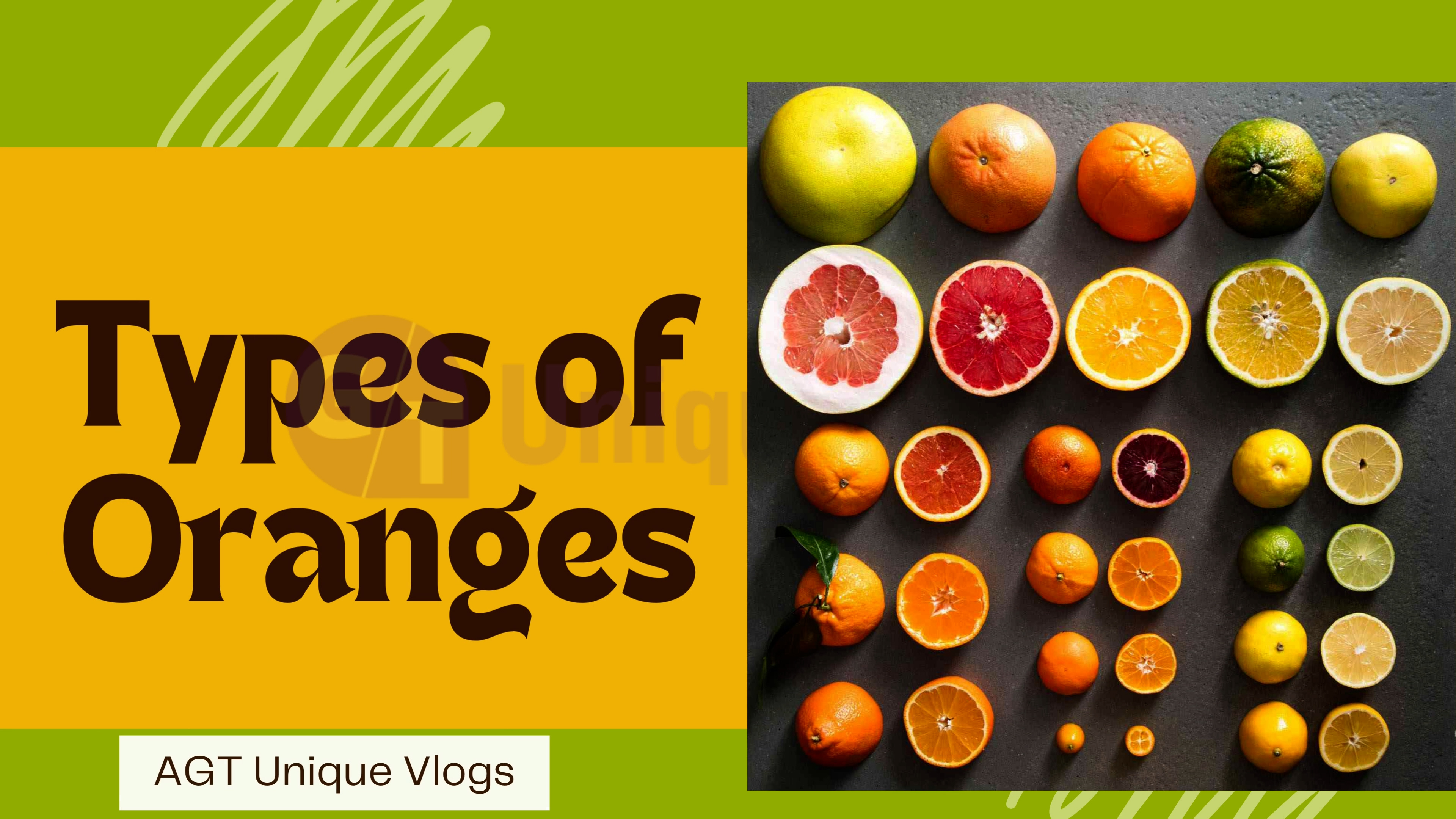 Types Of Oranges | Different Types Of Oranges | A Guide For Oranges