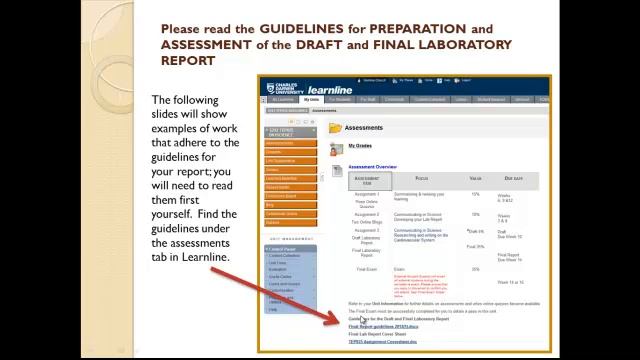 Getting Started on Your Lab Report смотреть онлайн