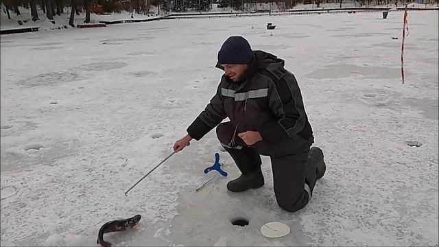 Обзор с нижнего водоёма. Клёвое место, Лосиный остров. смотреть онлайн