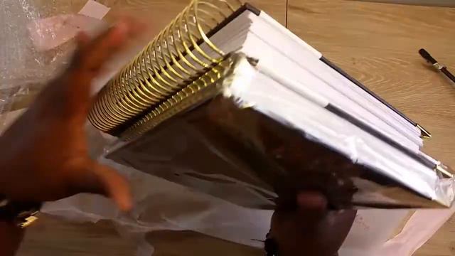 2021 New Go Getter Girl Planner Euphoria Collection Unboxing and Flip Through 2021! смотреть онлайн