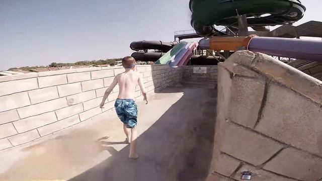 Papillon Belvil Slides 3 смотреть онлайн