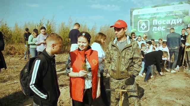 Посадка леса Осень 2023 смотреть онлайн