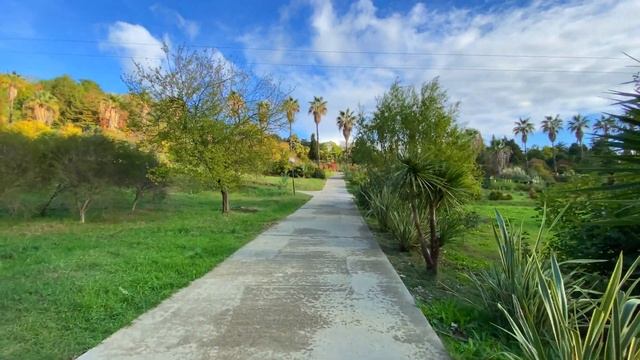 Сочи дендрарий. Декабрь 2020. 4К смотреть онлайн