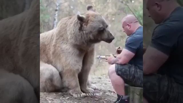 Очень сильно трогательное видео смотреть онлайн