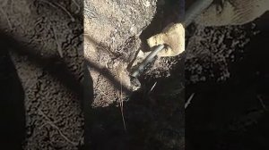 что делать если замерзла канализация