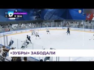 Хоккейный клуб «Адмирал» провёл вторую товарищескую встречу с минским «Динамо»