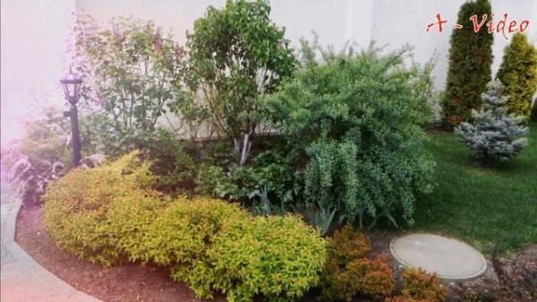 ?Красивый ландшафтный дизайн загородных участков / Original garden design / A - Video