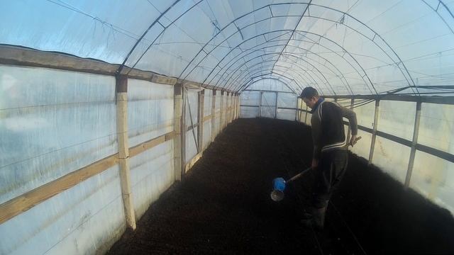 Посев редиса в теплицу 2021 смотреть онлайн