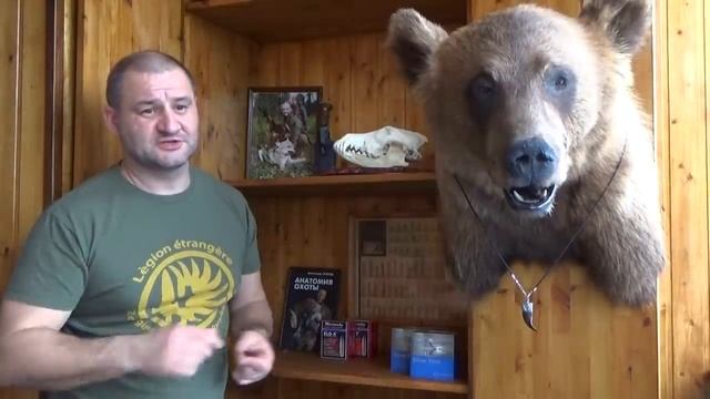 МОИ ВСТРЕЧИ С МЕДВЕДЯМИ смотреть онлайн