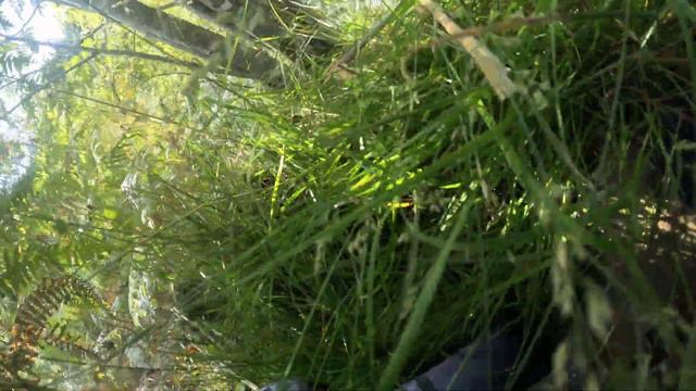 Ghillie Ambush at Bunker Airsoft Bargoed Wales смотреть онлайн