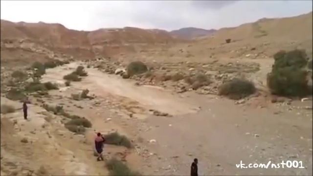 Давно пересохшая река вновь наполняется водой после обильных дождей смотреть онлайн