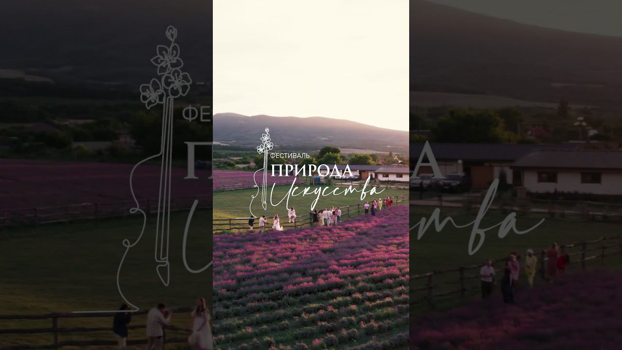 #lavender #shorts #lavenderfields #sevbal #NatureofArtFestival #NatureofArt смотреть онлайн
