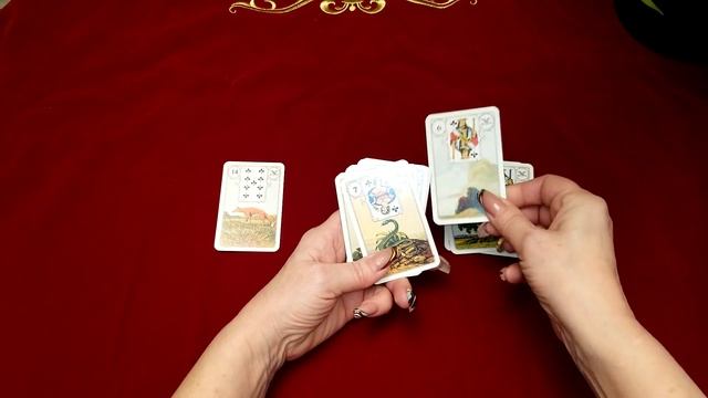 Карты Ленорман:" Лиса"- значение и сочетание с другими картами смотреть онлайн