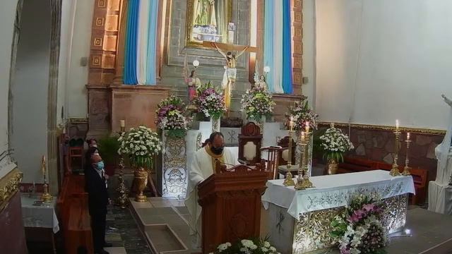 San Bernardo, Abad y Doctor de la Iglesia Misa Eucarística смотреть онлайн