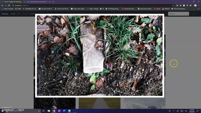 Lightbox in bootstrap смотреть онлайн