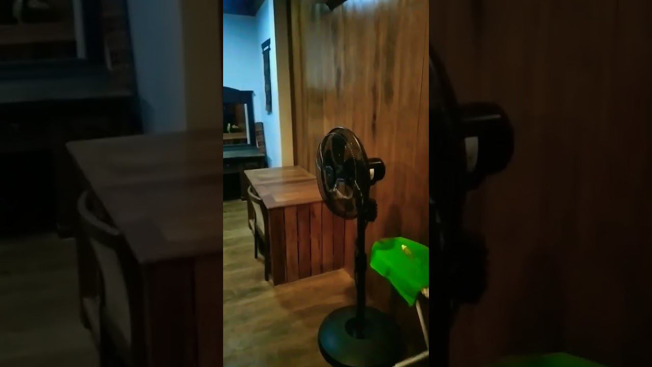 Классный хоумстэй в 20 минутах от Сием риепа. Для тех,кто хочет быть чуть в стороне от цивилизации. смотреть онлайн