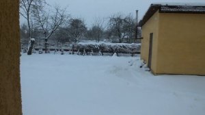 Честный обзор кофемашины Delonghi ETAM 29.660 SB