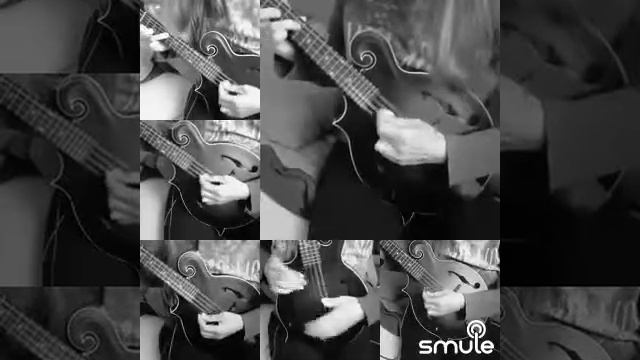 Carolan's welcome [Mandoline Cover] смотреть онлайн