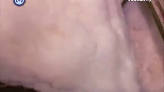 Все об утеплении и теплоизоляции ISOVER! Смотрите здесь!