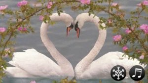 Свадьба 10 лет