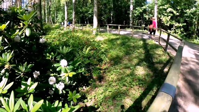 Haaga Rhododendron Park смотреть онлайн