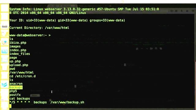 Old School Hacking : Exploiting UNIX Wildcards | Real Life Scenario смотреть онлайн