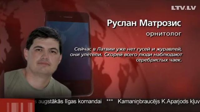Птичий клин зимой смотреть онлайн