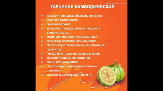 ALPHA ACHIEVERS НОЧНОЙ ЖИРОСЖИГАТЕЛЬ смотреть онлайн