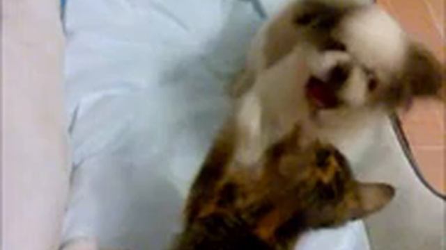 Осенняя пора...)) смотреть онлайн