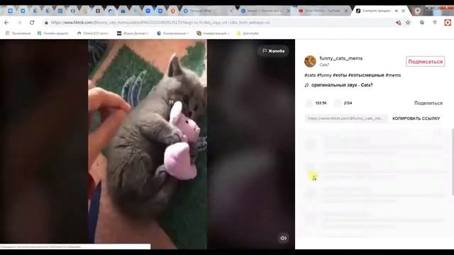 Как накрутить просмотры в ТикТок Быстрая накрутка просмотров на видео в TikTok Накрутка ТикТок смотреть онлайн