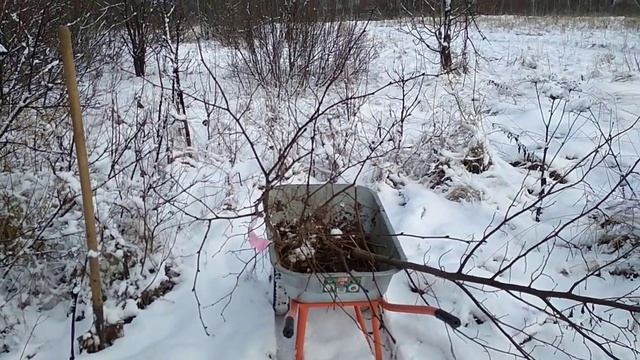 Годовой план по саженцам выполнен . смотреть онлайн